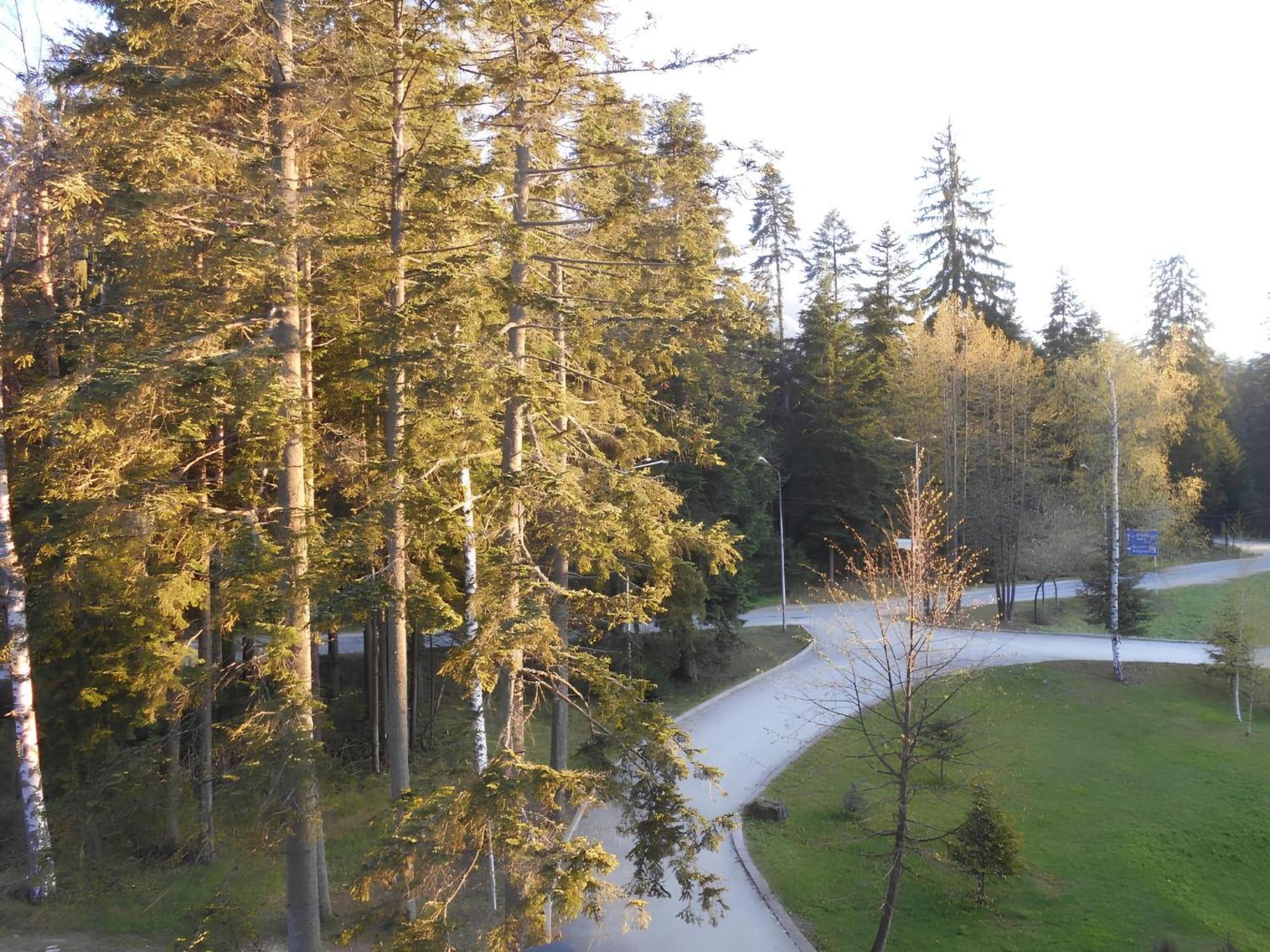 Neat Studios In "Borovets Gardens" Hotel Экстерьер фото